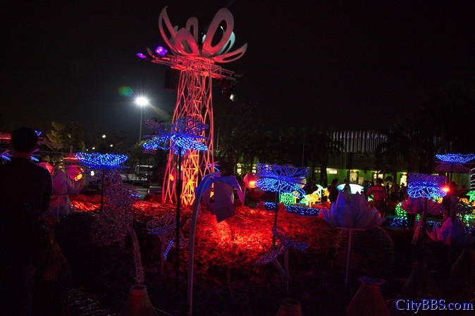 鲜花盛开之花样清迈