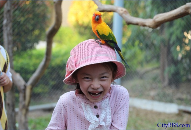 清迈的夜间动物园 Chiangmai Night Safari