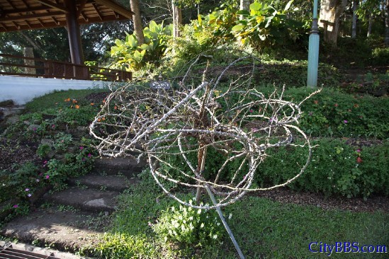 蒲屏皇宫