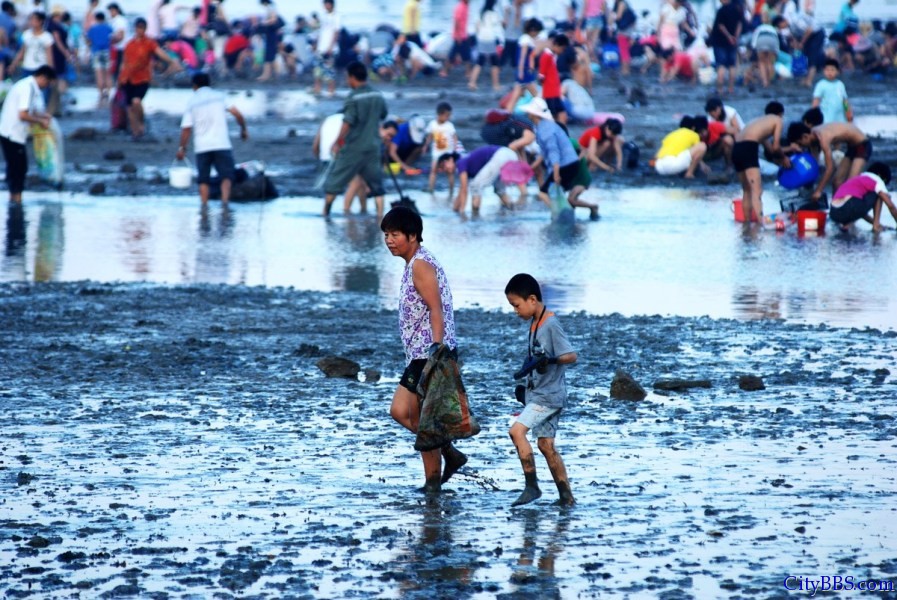 厦门“大潮”退去露出大片海滩引千人赶海