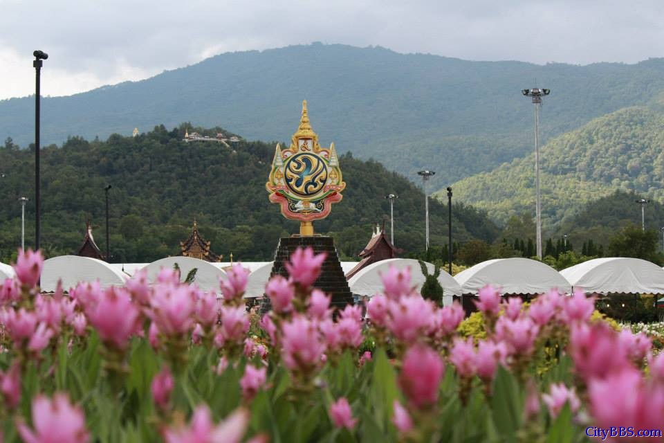 清迈旅游风情_Chiang Mai Travel