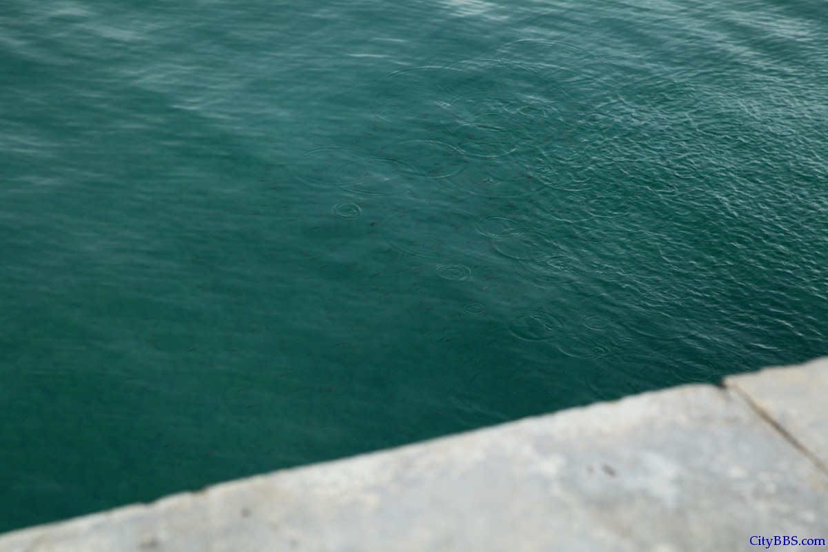 2014 泰国南部华欣班武里巴蜀春蓬自驾游