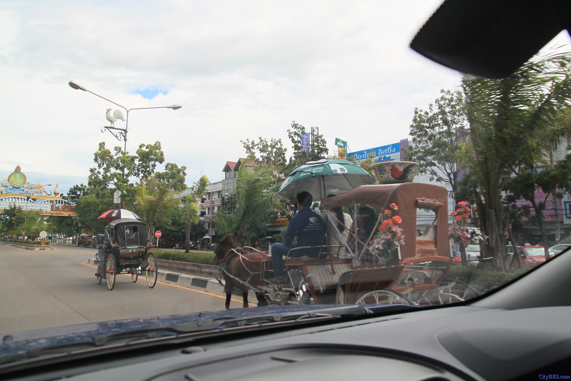 南邦旅游特色马车