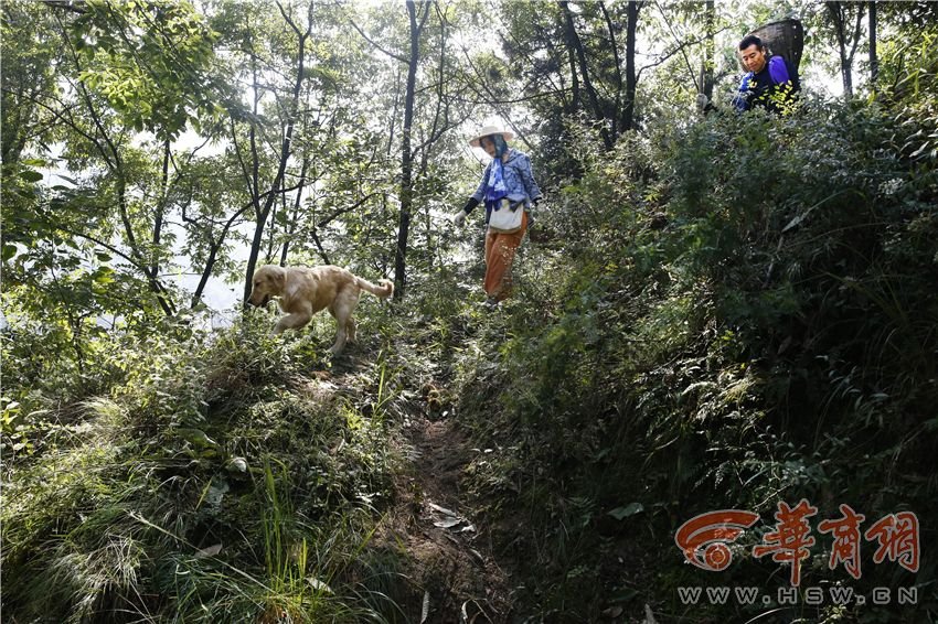 夫妻俩毕业后终南山安家 享受慢生活