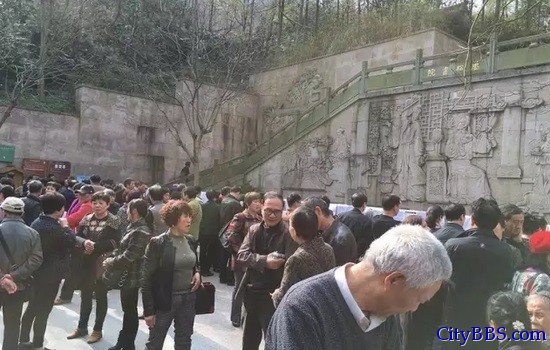 浙江富家女招上门女婿 拒绝屌丝只要新中产