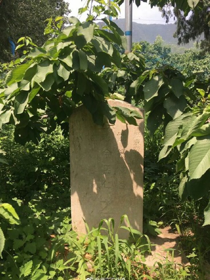 被誉中国007最强间谍金无怠墓碑惊现北京香山