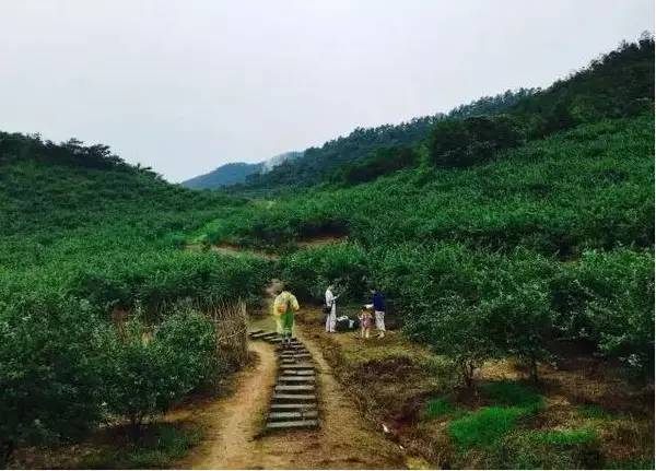 同居式养老抱团养老模式在美国德国备受追捧