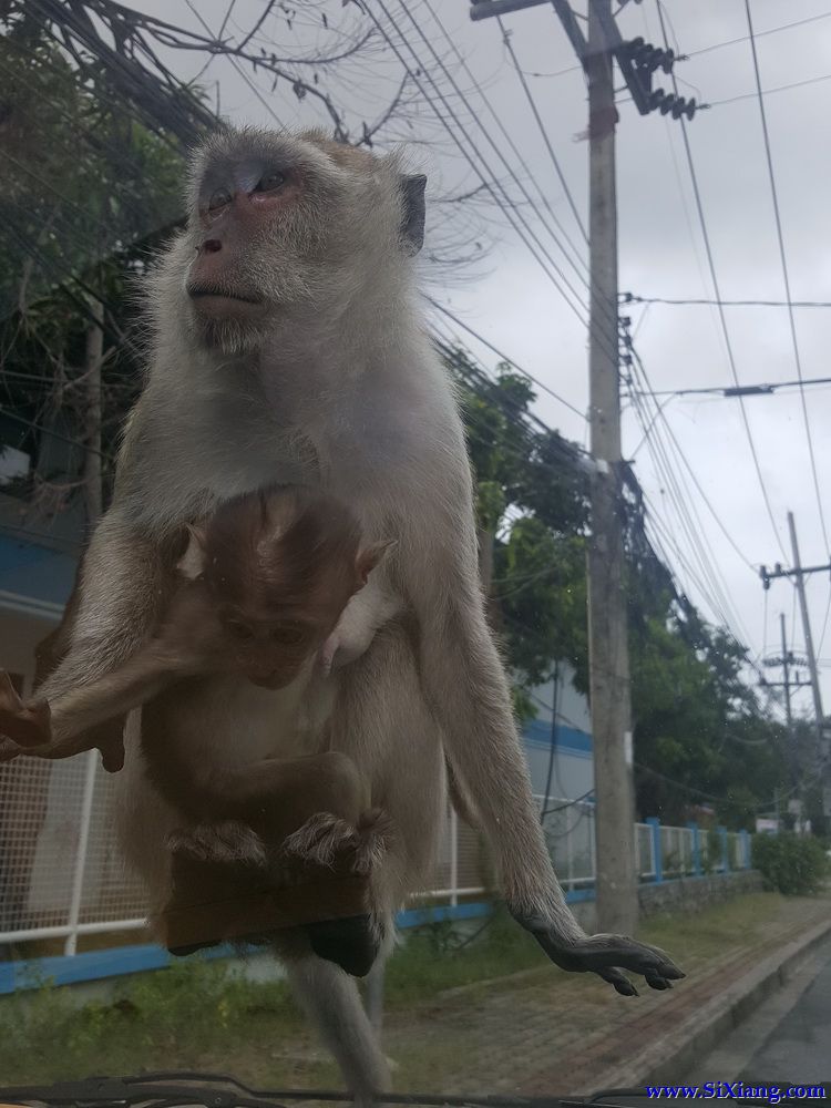 合艾湖景别墅