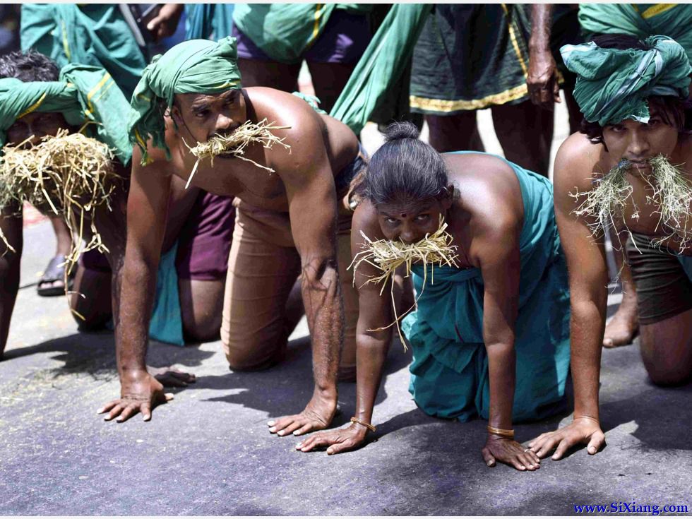 中国外交官眼中的印度：杂而不乱 腐而不败