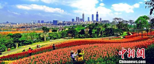 中国—东盟市长论坛举办地广西南宁市城市一隅