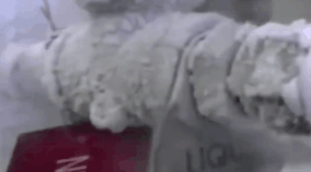 美国首富将自己冷冻50年，本该2017年复活