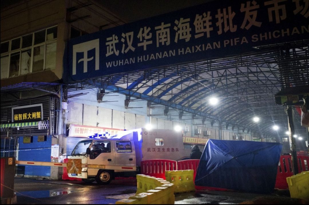 武汉肺炎始发地华南海鲜市场的照片触目惊心!