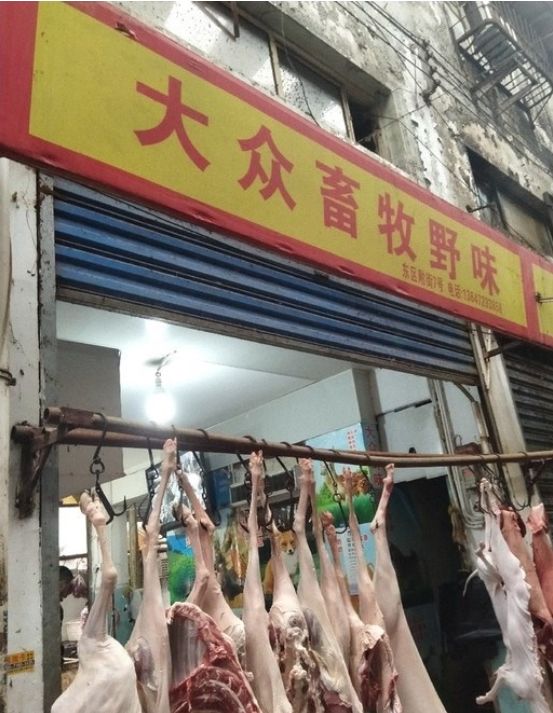 武汉肺炎始发地华南海鲜市场的照片触目惊心