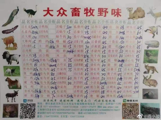 武汉肺炎始发地华南海鲜市场的照片触目惊心