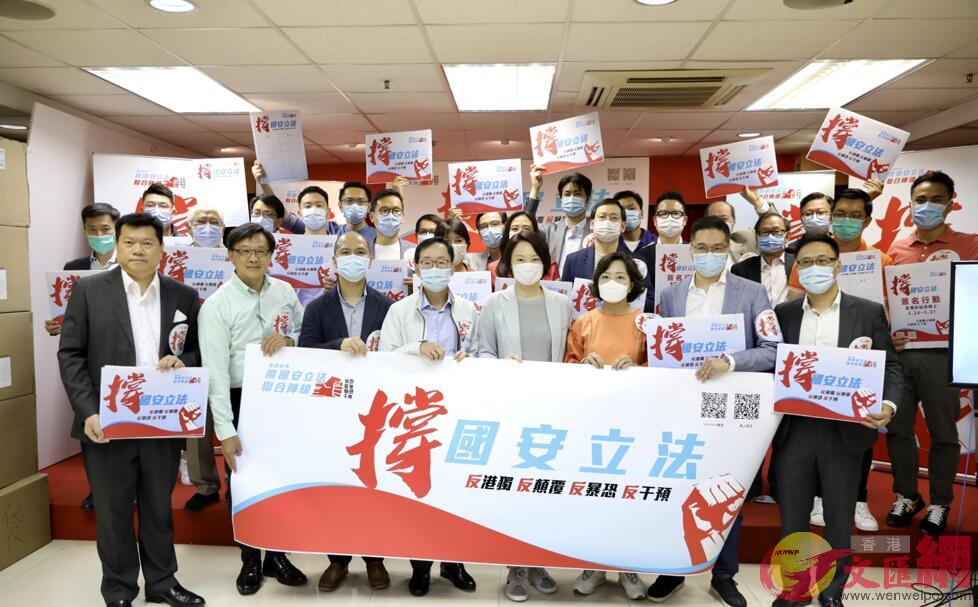 港代表吁设立国安法庭法官不得有外国居留权