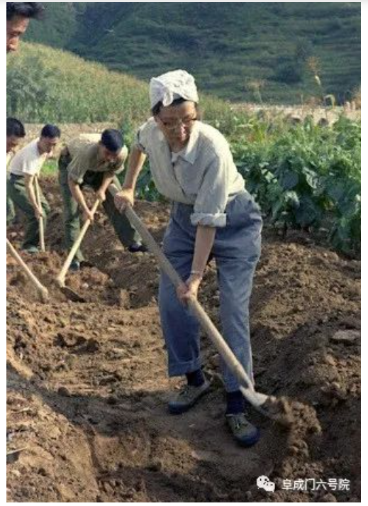 文革新贵奢靡腐化生活:文革真的没有腐败吗?