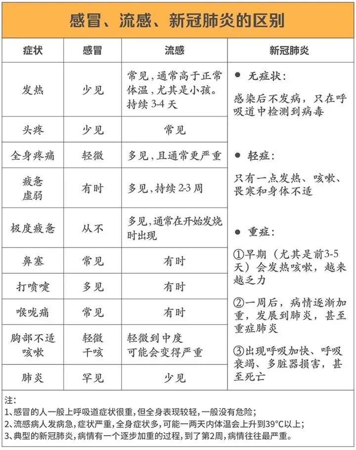流感病毒