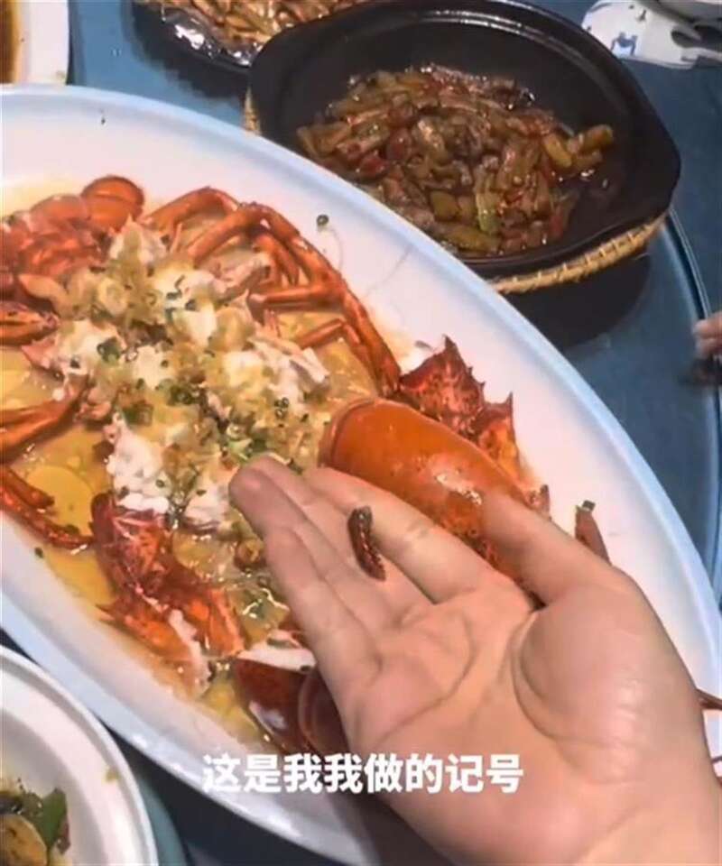 奇迹 食客点龙虾掰掉一条腿 上桌后腿齐了