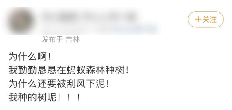 很多朋友有定期在蚂蚁森林浇水的习惯