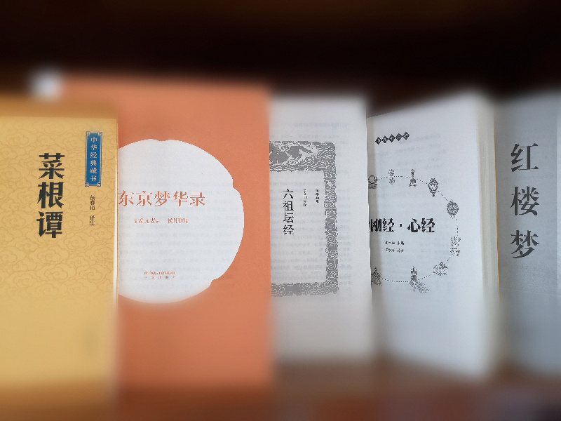 薛颖最近在读的书