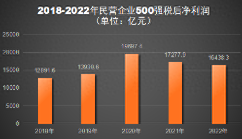 民营企业500强税后净利润