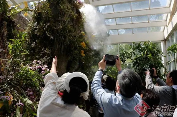 扶荔宫兰花展争奇斗艳