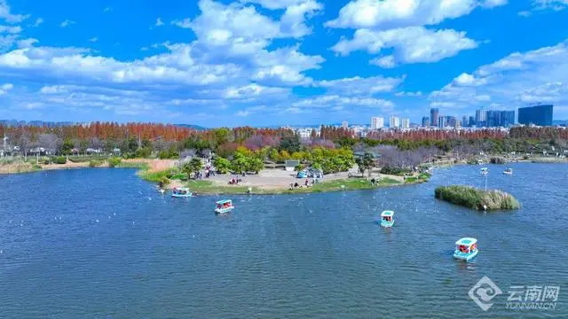 花旅融合让呈贡成“反向游”热门地