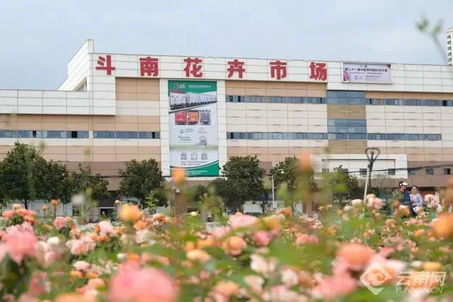 花旅融合让呈贡成“反向游”热门地