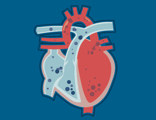 心脏
