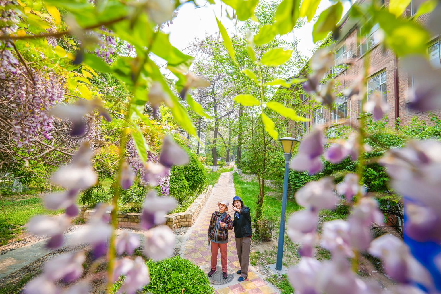 建研院小区内的共享花园