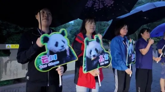 中美双方派出5名经验丰富的饲养师和兽医专家随机陪同