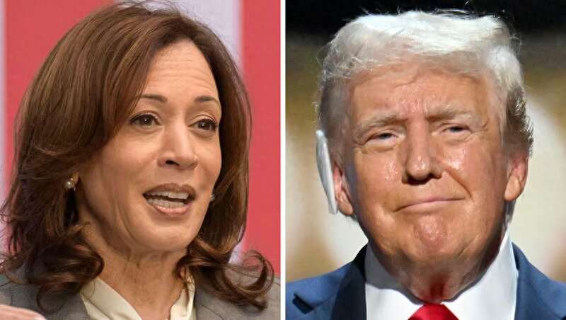 哈里斯和特朗普