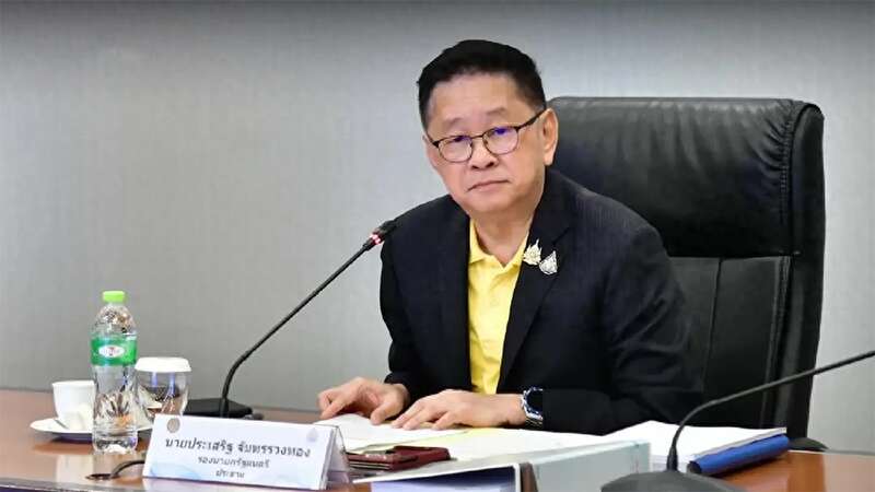 泰国数字经济与社会部部长巴瑟 